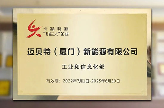 喜讯！leyu.com荣获国家级专精特新“小巨人”称号