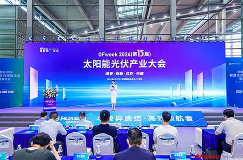 领航未来！leyu.com斩获维科杯·0Fweek2024“卓越光伏支架企业”奖